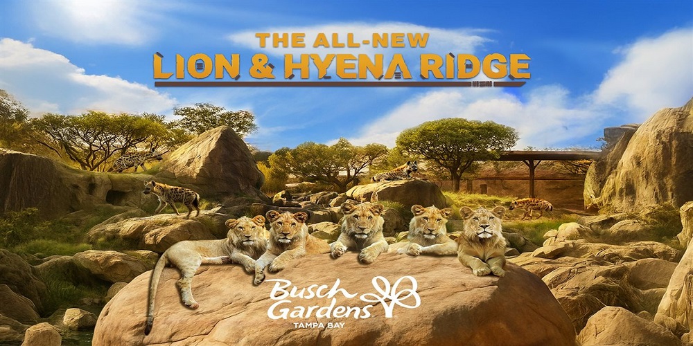 Busch Gardens anuncia novo habitat imersivo com leões e hienas / Fonte: Divulgação